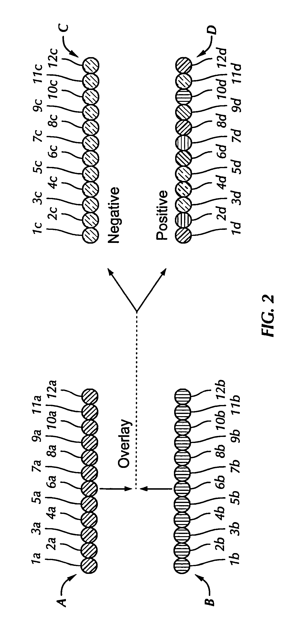 Antibody-based system for detection of differential protein expression patterns