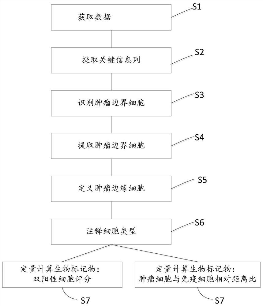 Biomarker analysis method based on multiple immunohistochemical technologies and application thereof