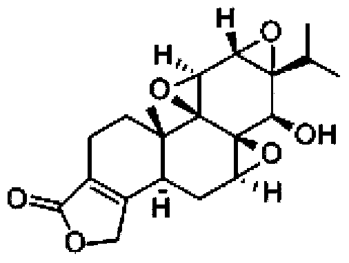 Triptolide liposome preparation for treatment of small cell lung cancer and preparation method thereof