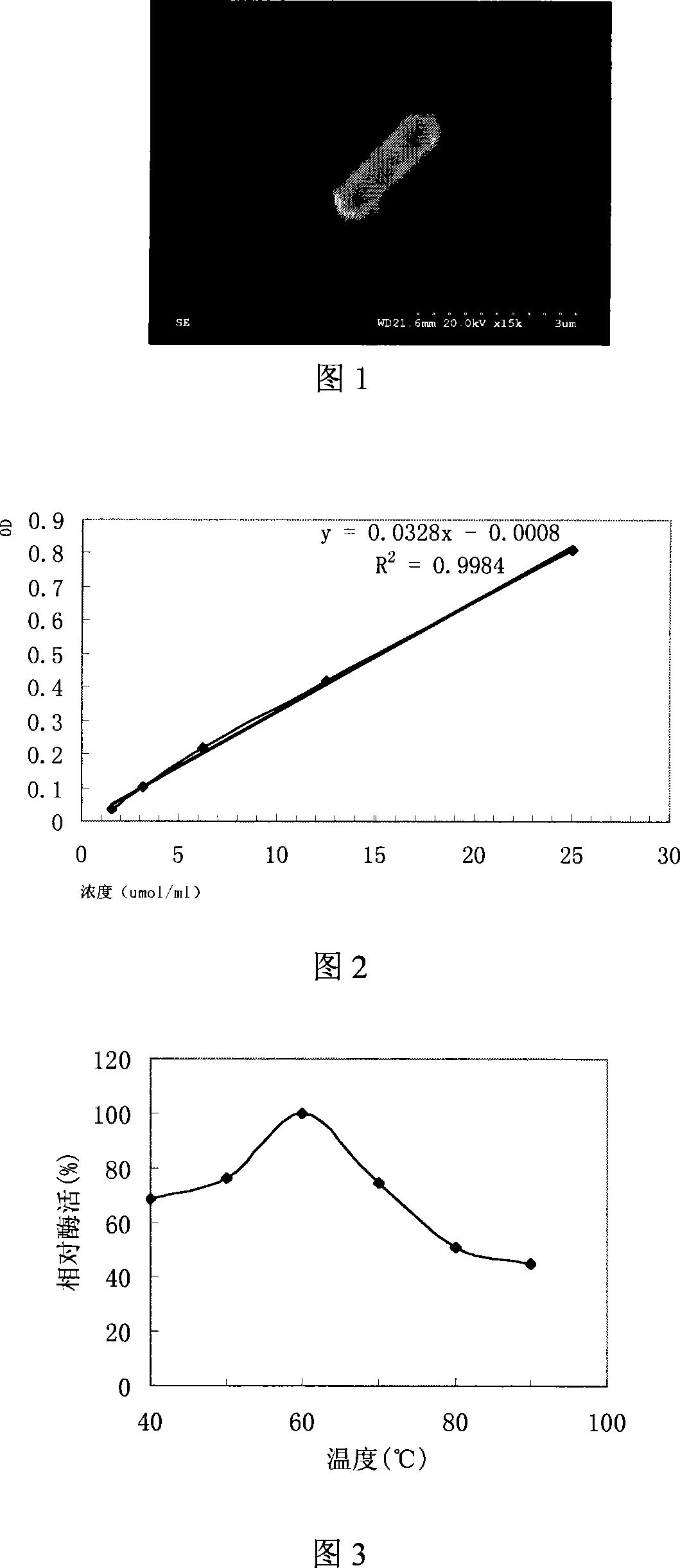 Generation bacterium of heat-stable phytase