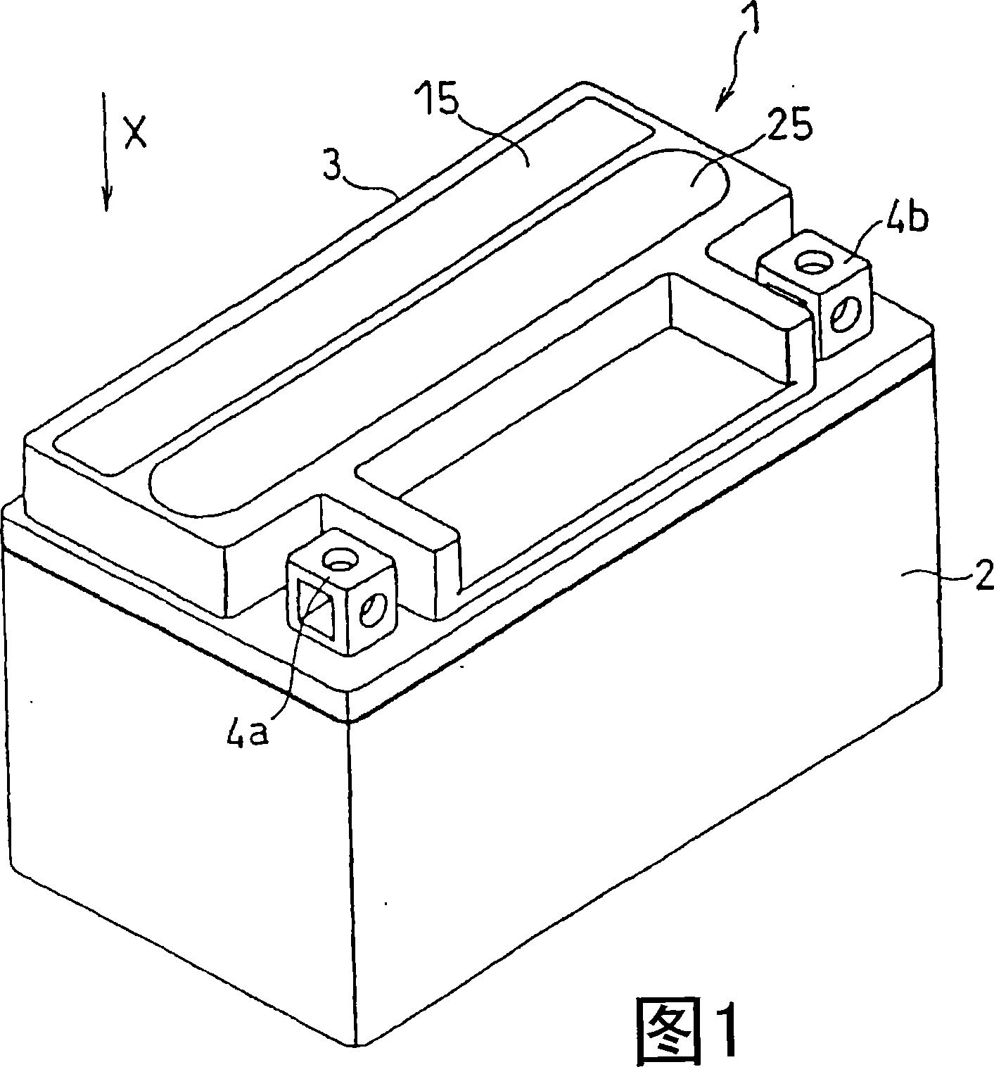 Control valve type lead battery