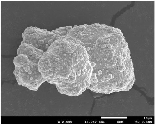 Preparation method for metal-ceramic composite powder of core-shell structure