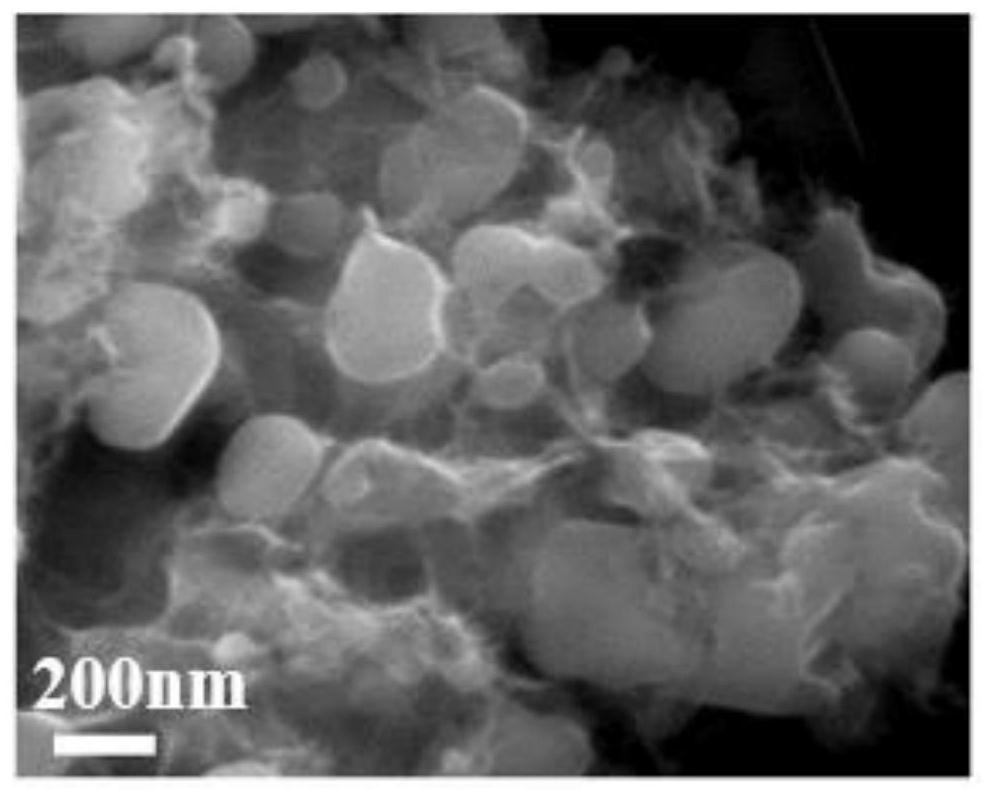 A kind of aqueous sodium ion battery