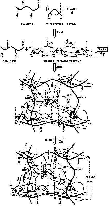 Double-quaternary ammonium positive ion molecule introduced anion-exchange membrane and preparation method thereof