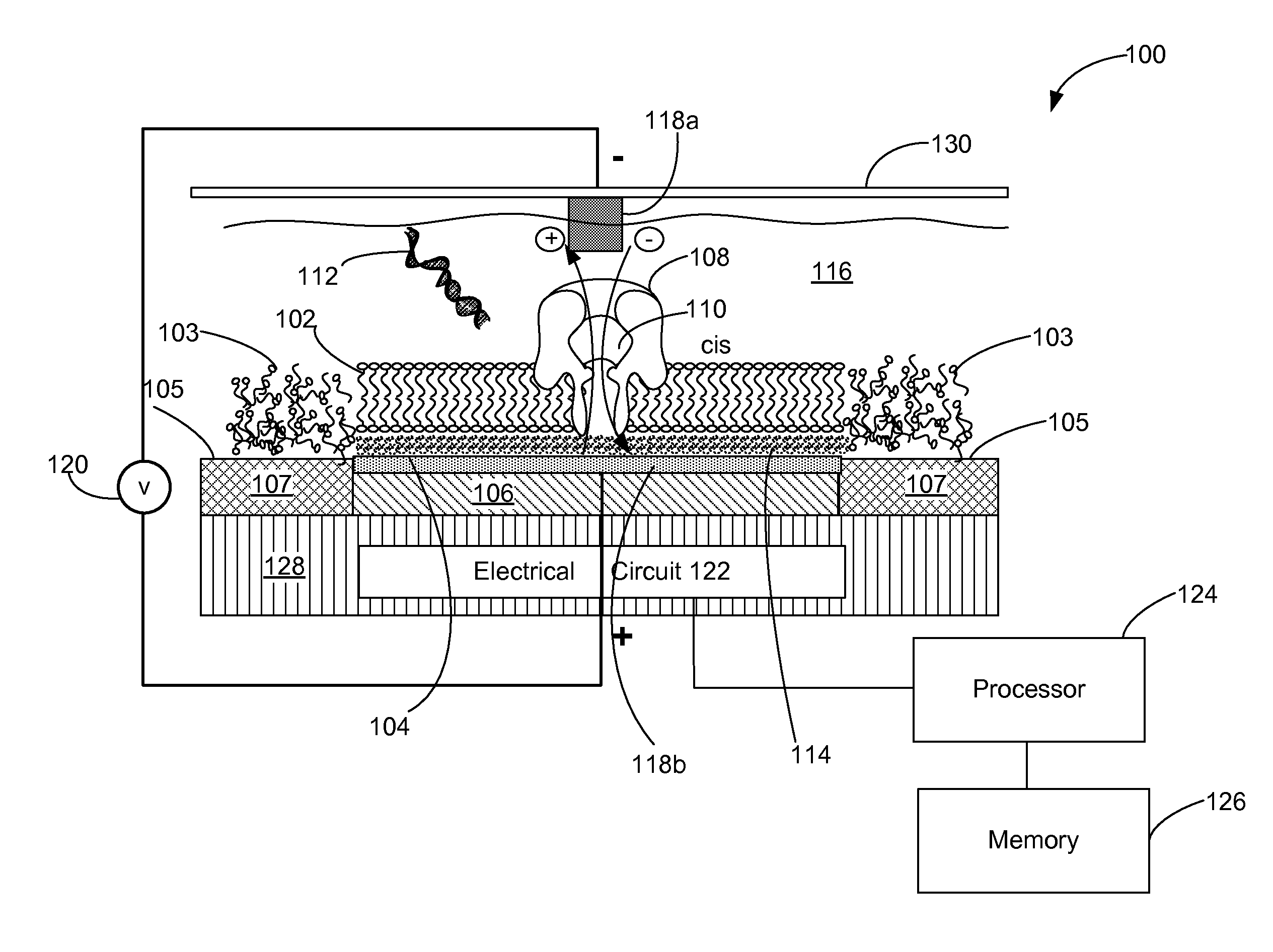 Systems and methods for characterizing a molecule