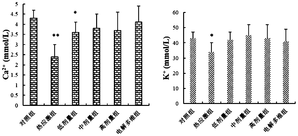 Traditional Chinese medicine extract for relieving heat stress damaged broiler chicken cardiac muscles and preparation method of traditional Chinese medicine extract