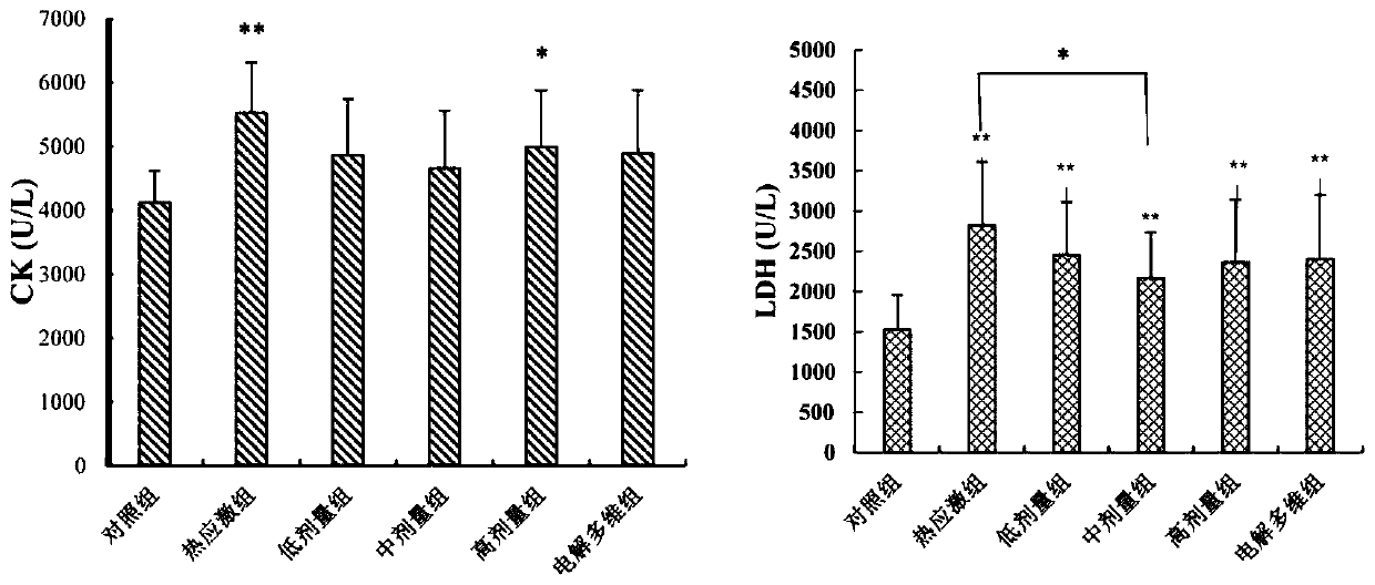 Traditional Chinese medicine extract for relieving heat stress damaged broiler chicken cardiac muscles and preparation method of traditional Chinese medicine extract