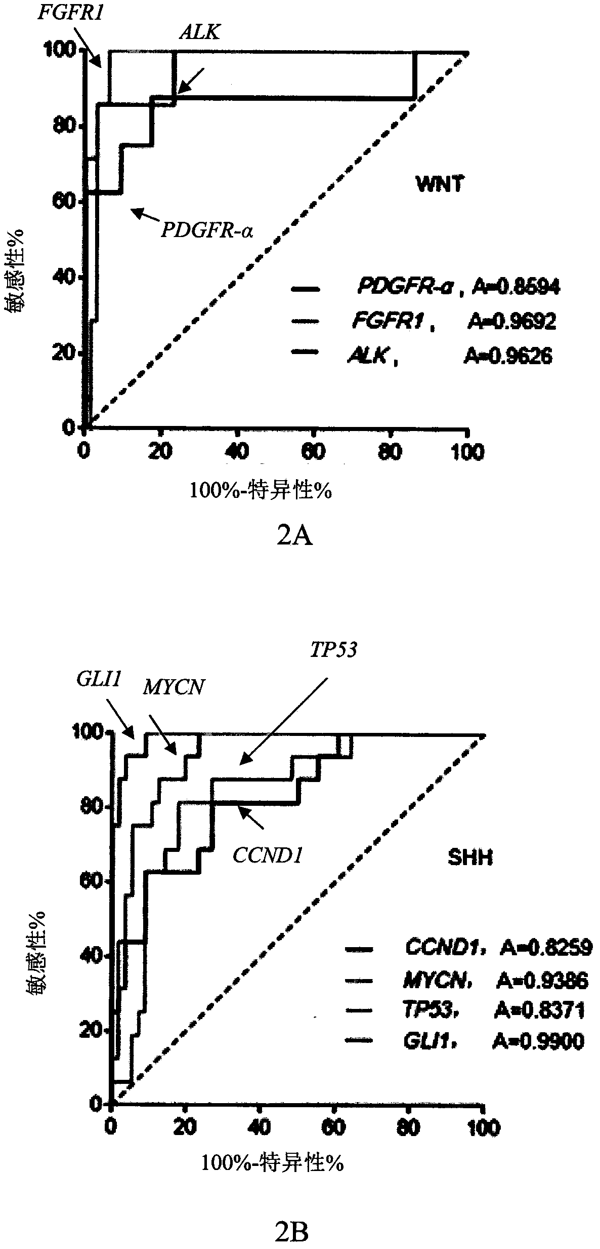 Genetic group for molecular subtyping of medulloblastoma and use of SNCA gene as biomarker of 4-type medulloblastoma