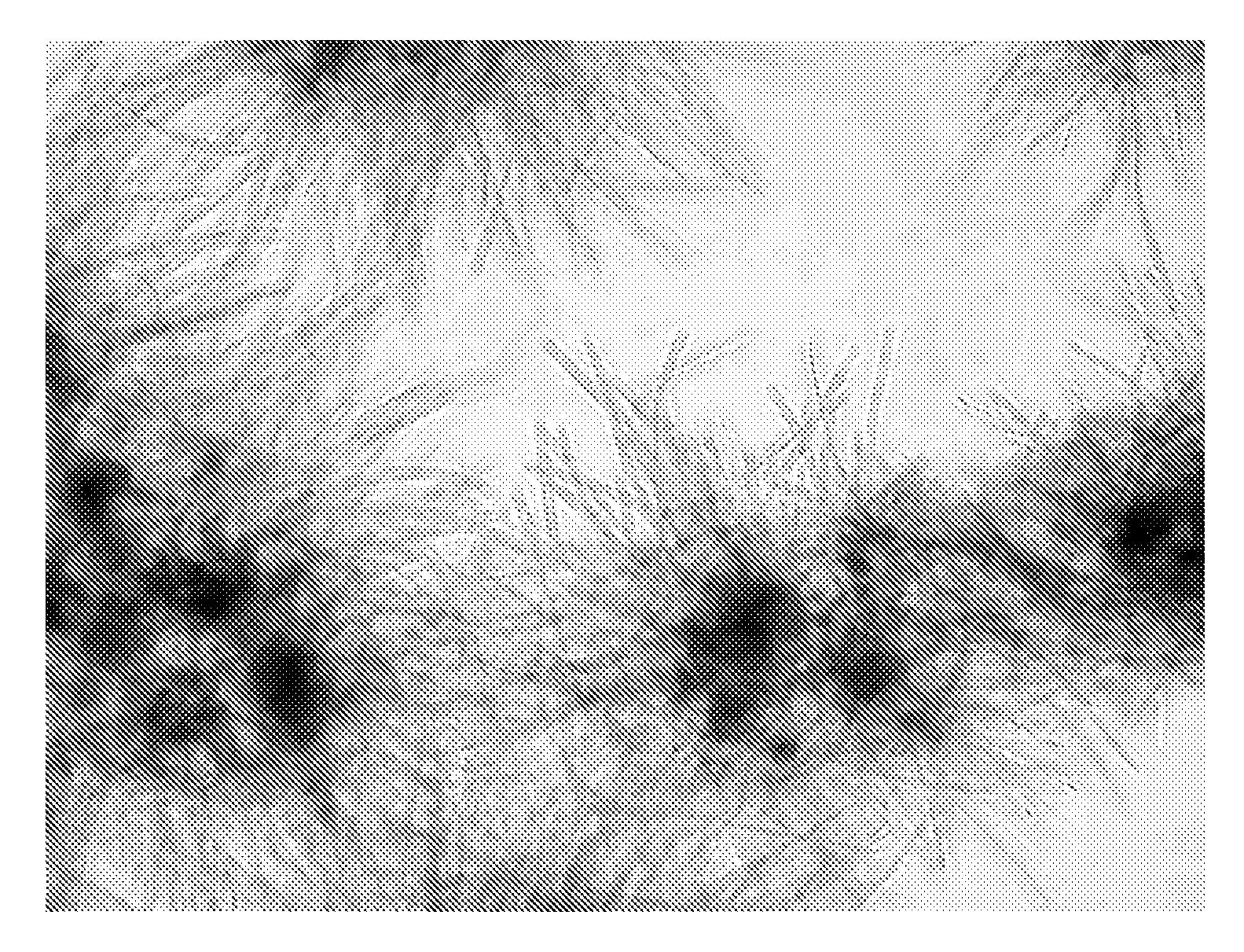 Method for the submerged cultivation of filamentous organisms