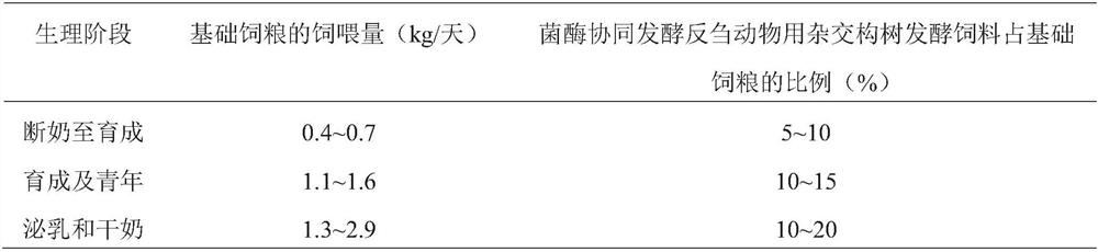 Hybrid broussonetia papyrifera fermented feed for ruminants and preparation method and application thereof