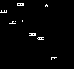 Female genital tract pathogen identification method based on morphology and YOLO algorithm