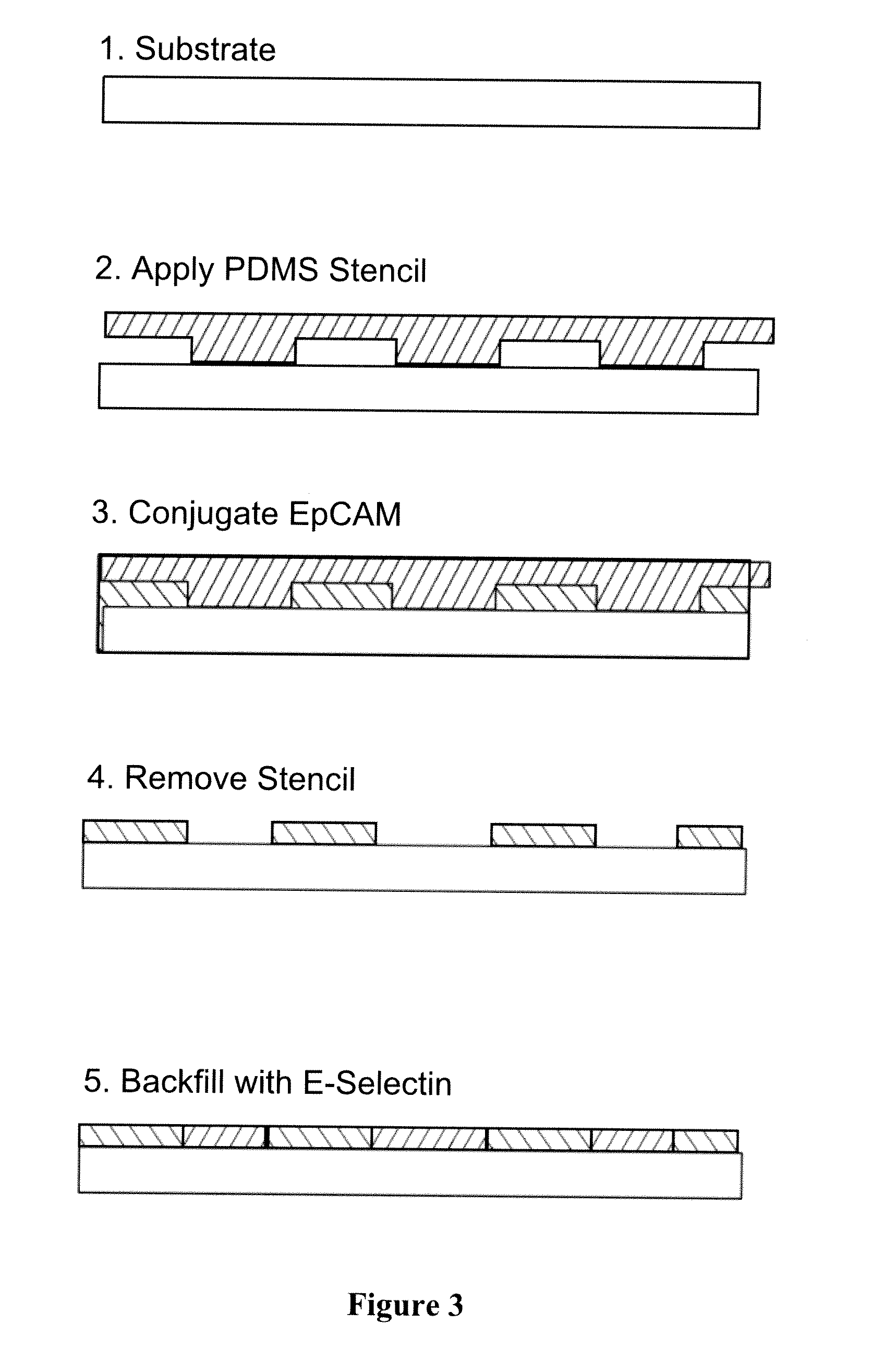 Methods and Devices for Capturing Circulating Tumor Cells