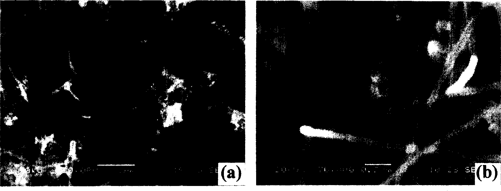 Method of preparing carbon-carbon composite material surface silicon carbide nano wire