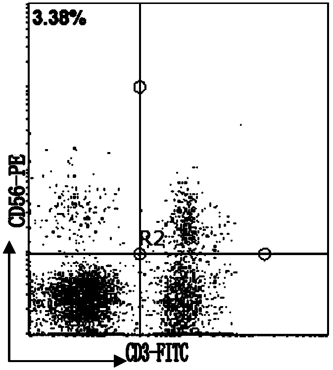 Method for simultaneously inducing and amplifying V alpha&lt;24+&gt;iNKT cells and CD&lt;3-&gt;CD&lt;56+&gt;NK cells