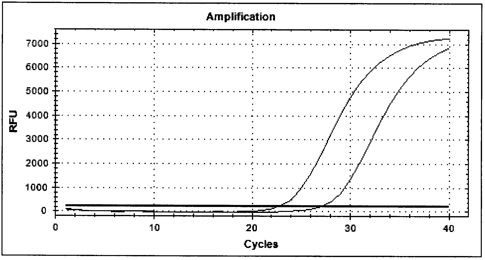 Coxiella burnetii nucleic acid detection kit