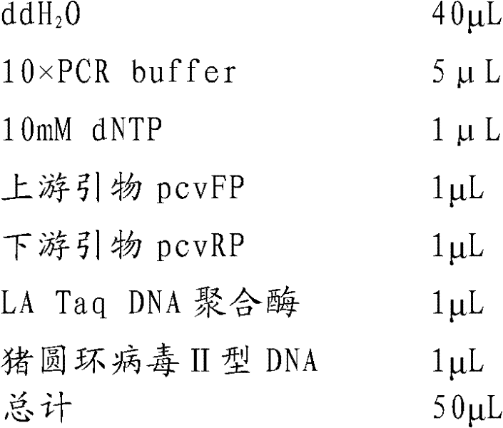 Method for preparing Porcine circovirus type 2 antigen with chloroplast and its product