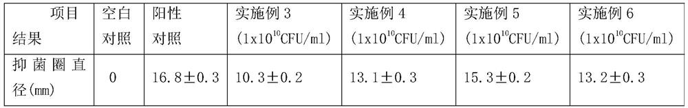 Lactobacillus plantarum preparation capable of improving anti-helicobacter pylori effect and preparation method of lactobacillus plantarum preparation