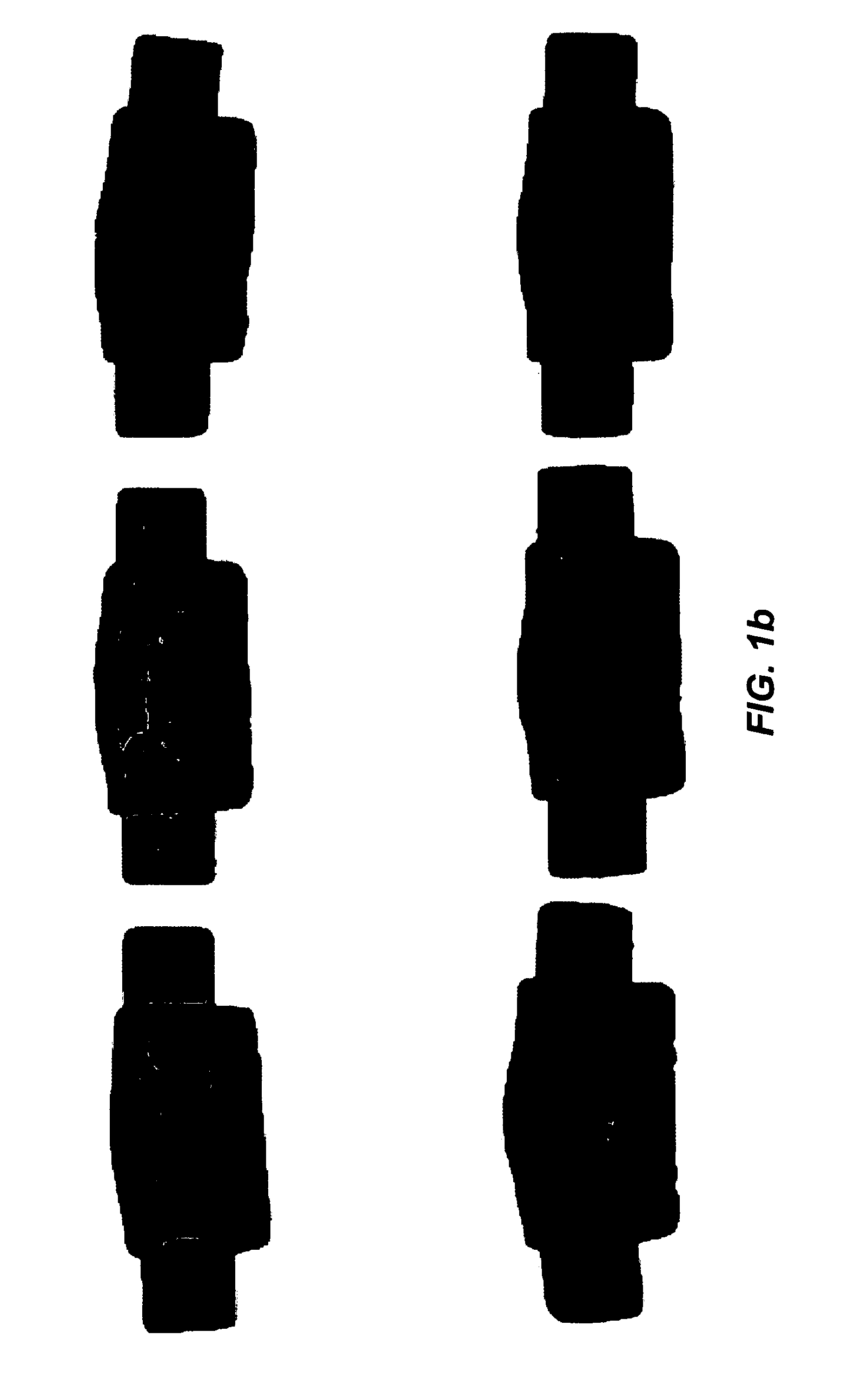 High amylose dog chew formulation