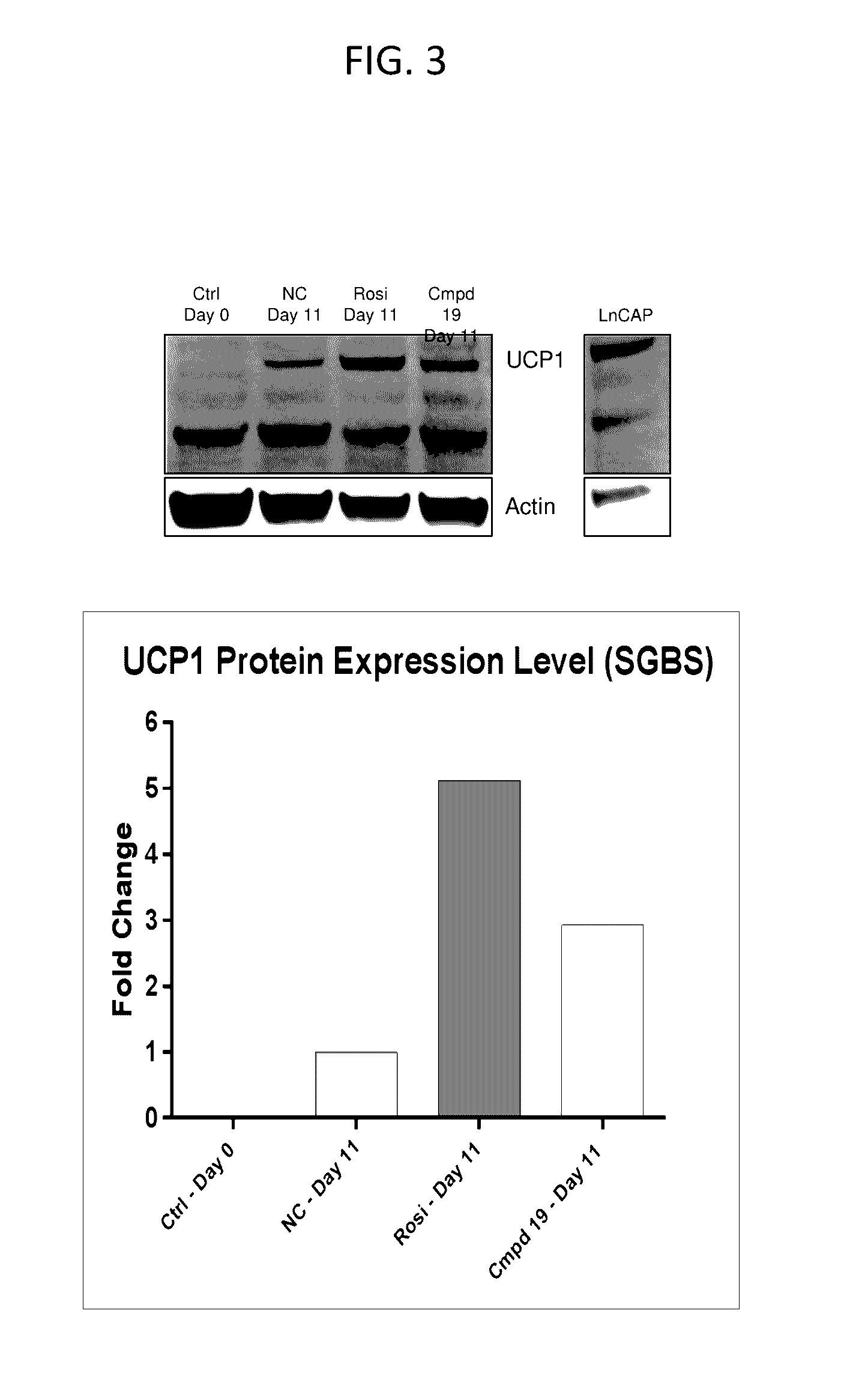 Lpa receptor modulators for brown fat differentiation