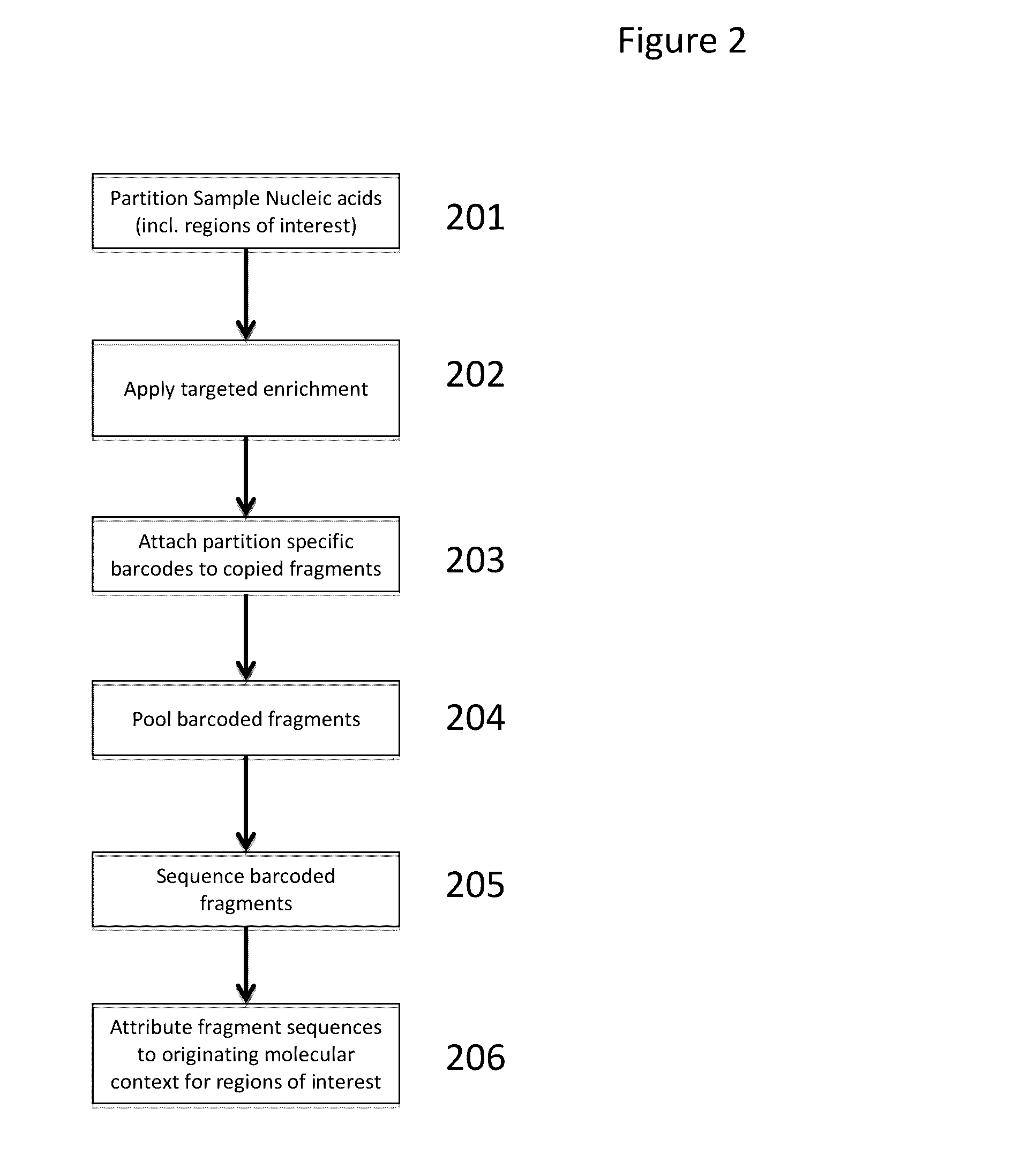 Methods and compositions for targeted nucleic acid sequence coverage