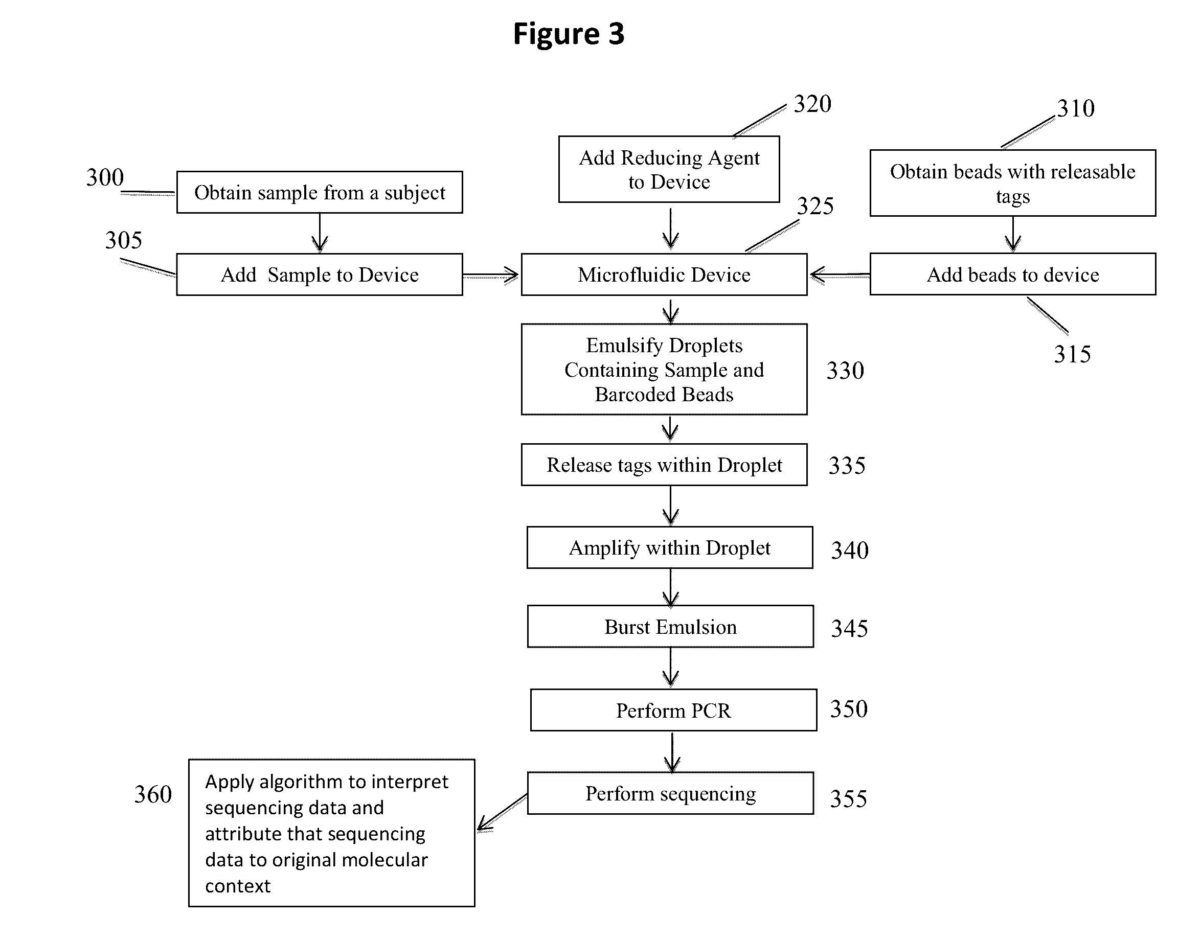 Methods and compositions for targeted nucleic acid sequence coverage