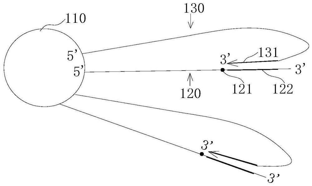 Gene Mutation Detection Methods