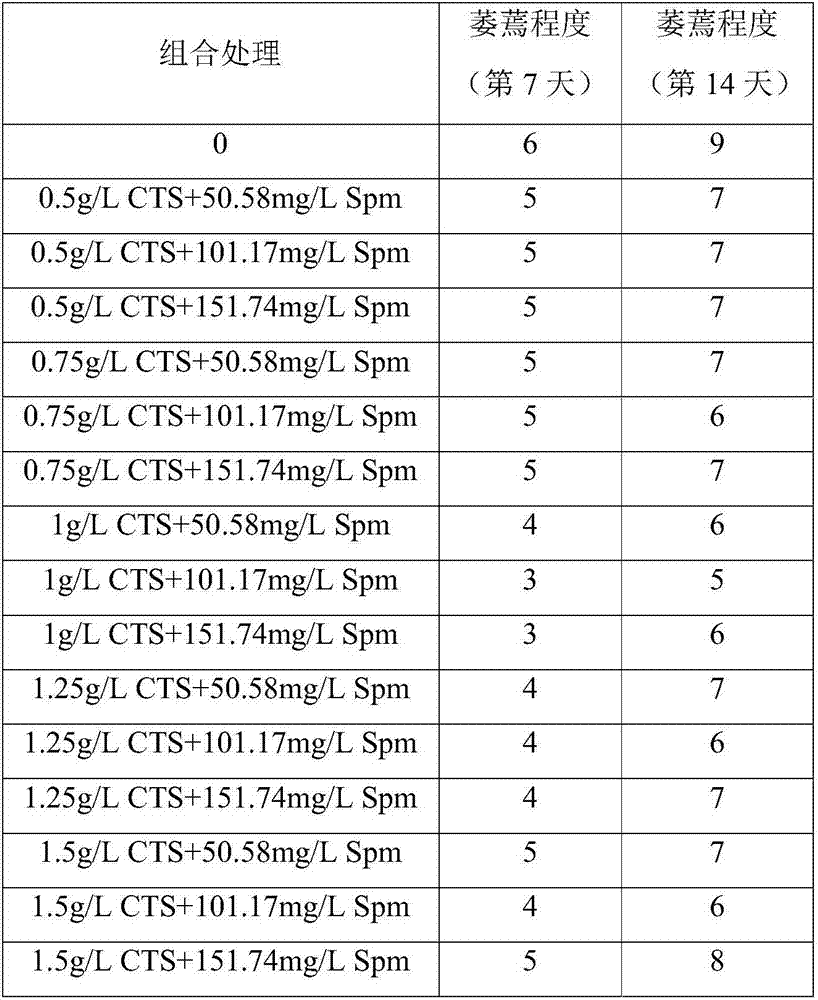 Cultivation method of trifolium repens