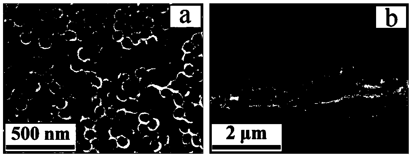 Molybdenum and carbon-codoped titanium oxide nanotube array thin film material and preparation method thereof