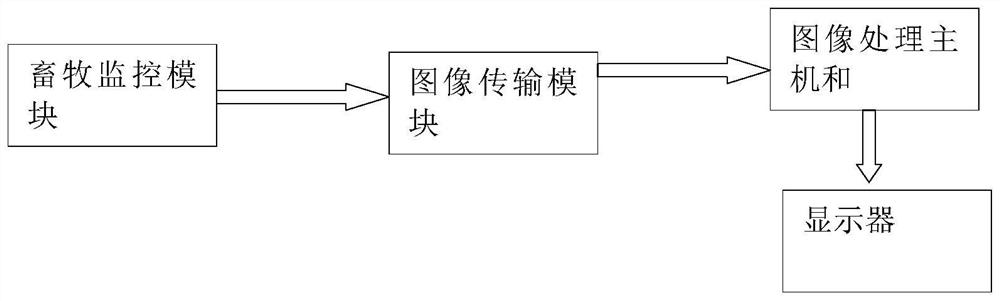 Method and system for improving livestock individual counting precision and efficiency