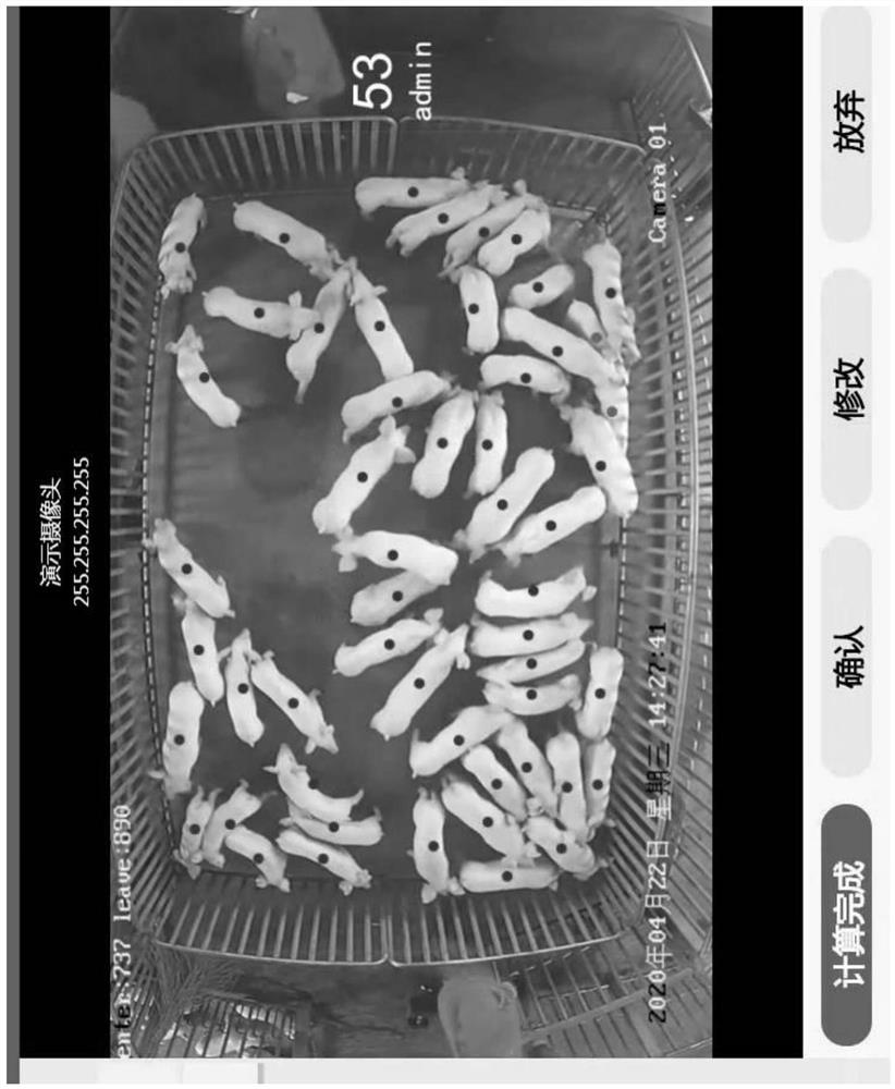 Method and system for improving livestock individual counting precision and efficiency