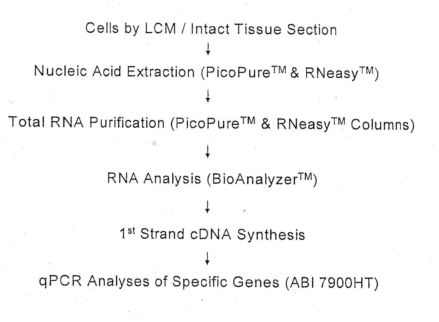 Methods for identifying an increased likelihood of recurrence of breast cancer