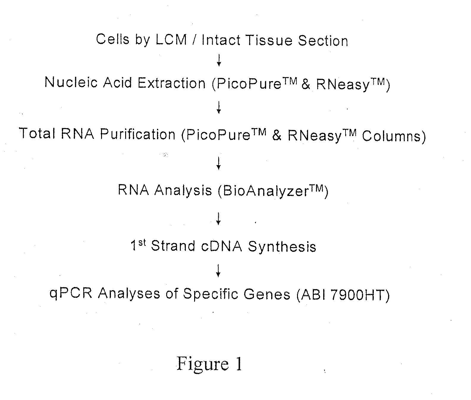 Methods for identifying an increased likelihood of recurrence of breast cancer