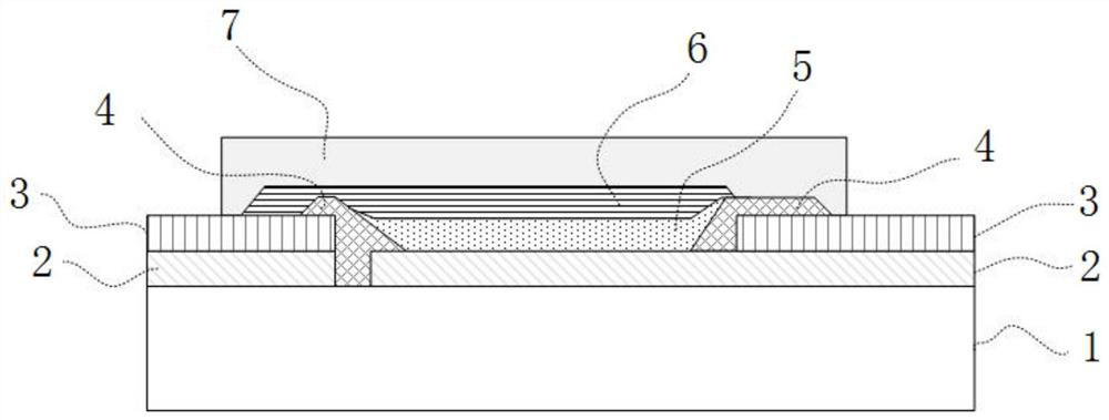 Organic electroluminescent screen body and preparation method thereof