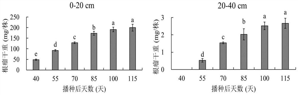 Accurate and efficient peanut underground part sampling method