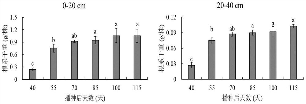 Accurate and efficient peanut underground part sampling method