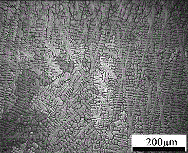 Dental titanium alloy material