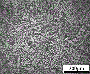 Dental titanium alloy material