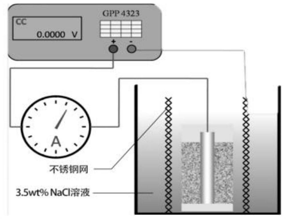 Reinforced concrete sample and preparation method and application thereof