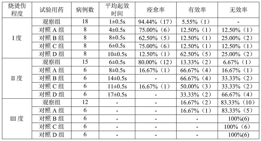 A kind of external Chinese medicine ointment for treating burns and scalds and preparation method thereof