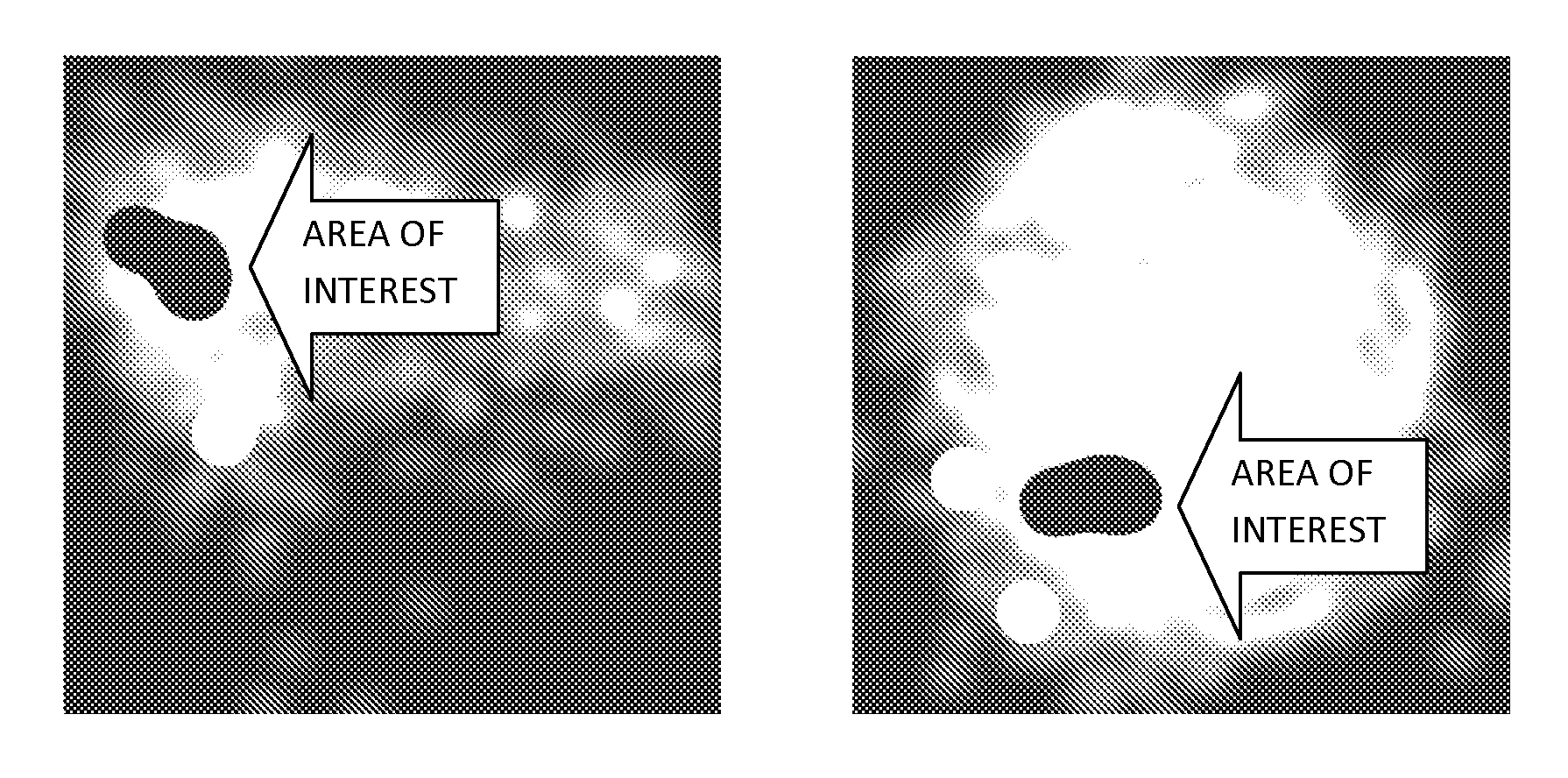 Methods and systems for identifying molecules or processes of biological interest by using knowledge discovery in biological data