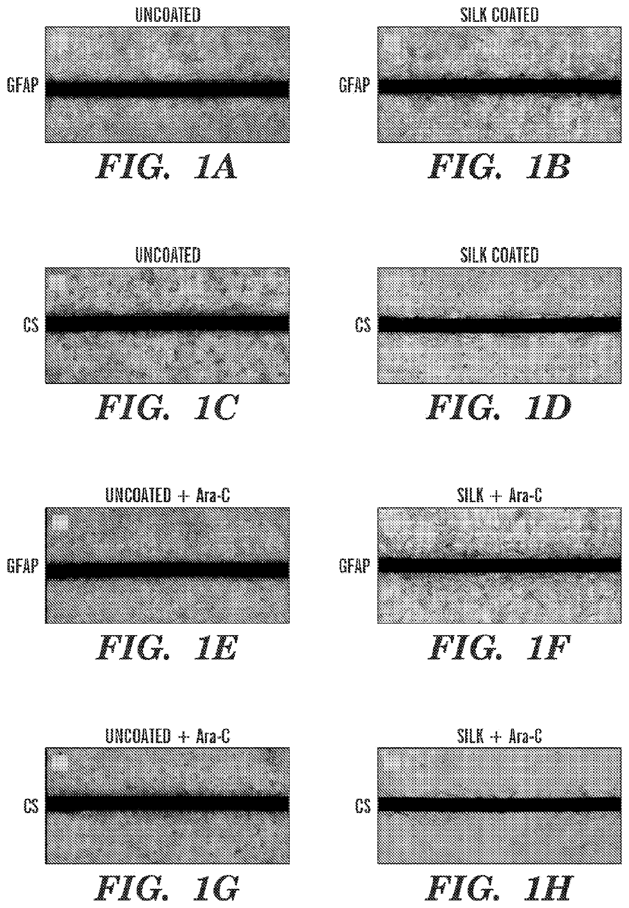 Dynamic Silk Coatings for Implantable Devices