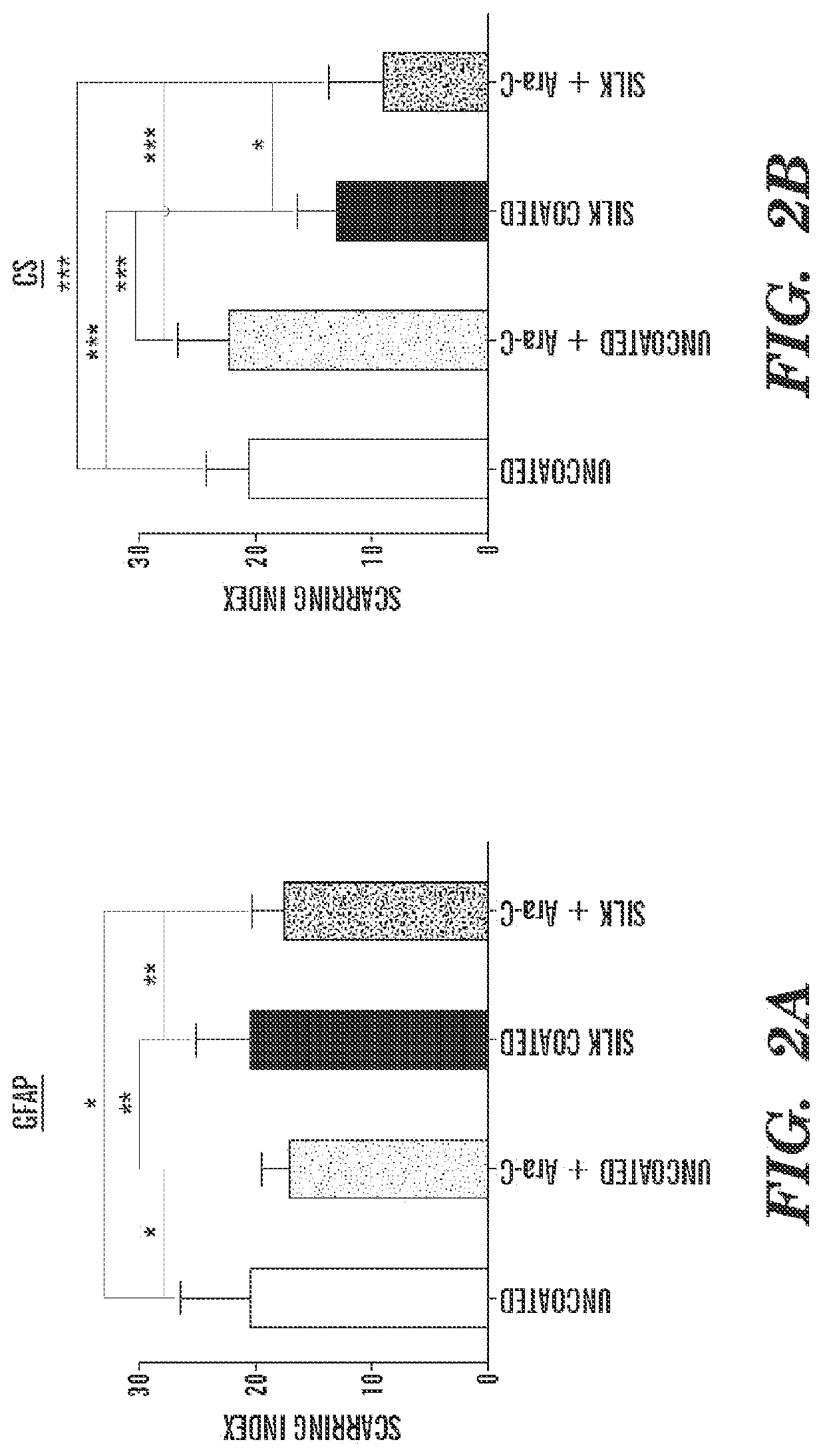 Dynamic Silk Coatings for Implantable Devices