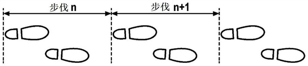 Analysis of the stride of a walking pedestrian