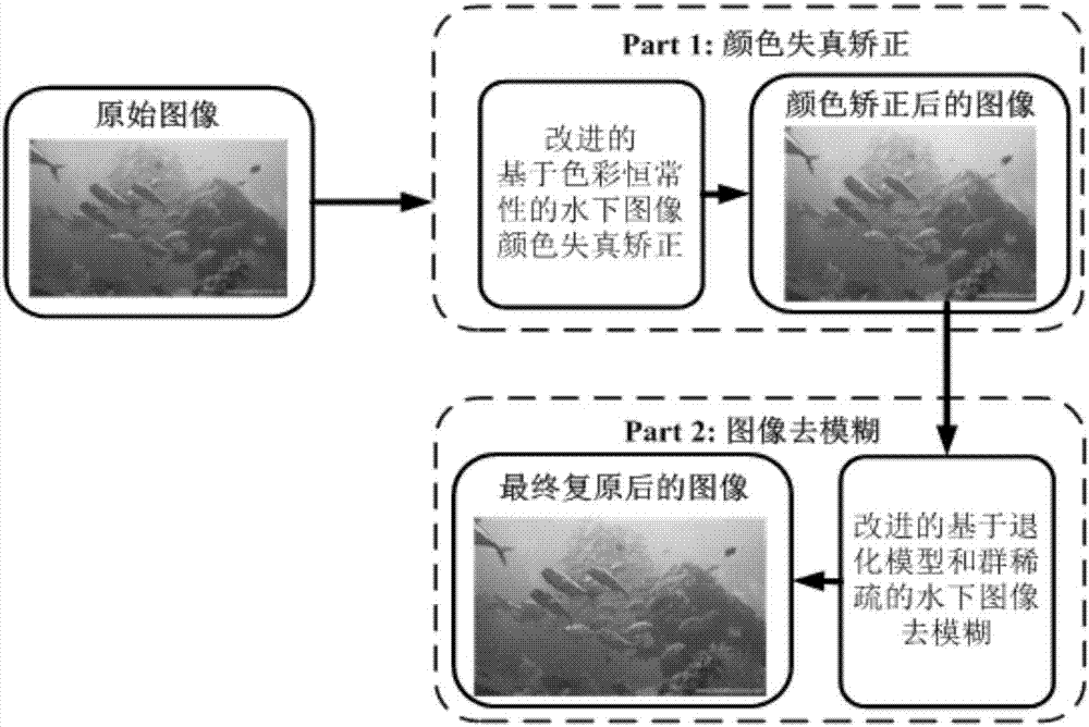 Underwater image restoration method based on color constancy and group sparse