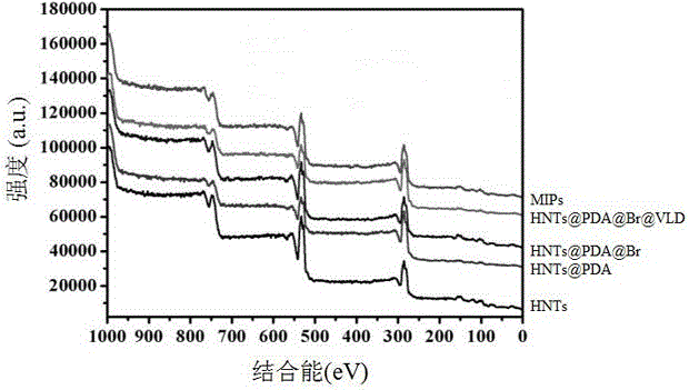 Preparation method of halloysite surface initiated boron affinity imprinted polymer adsorbent