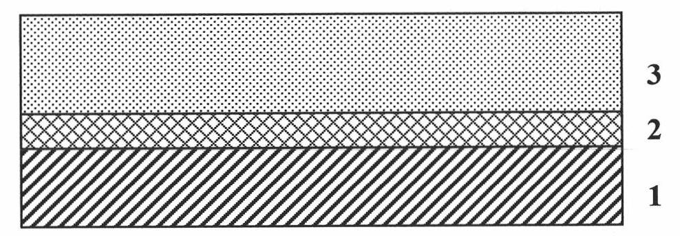 Titanium dioxide nanoflower film photoanode and preparation method thereof