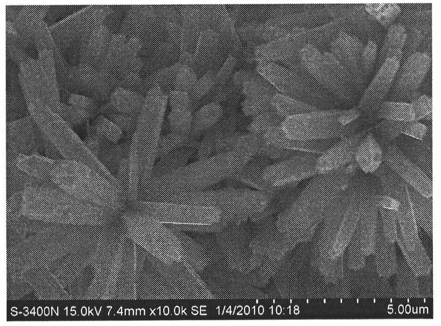 Titanium dioxide nanoflower film photoanode and preparation method thereof