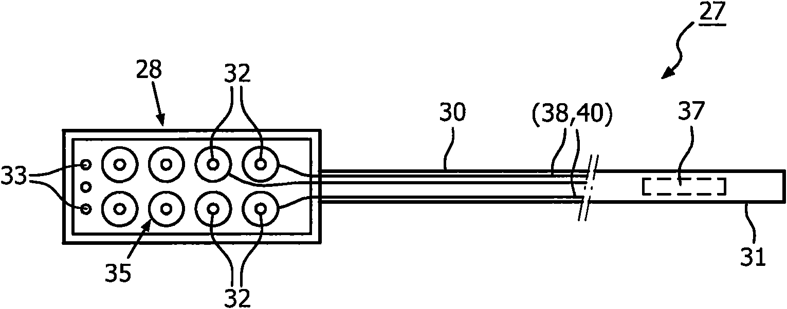 System for protection of soft tissues against a teeth whitening substance