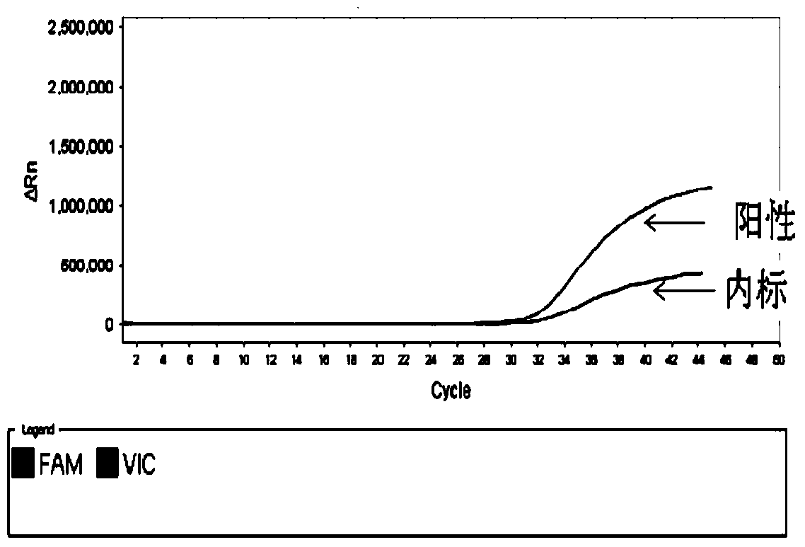 Fluorescent quantitative PCR (Polymerase Chain Reaction) detection reagent, kit and detection method for African swine fever virus (ASFV)