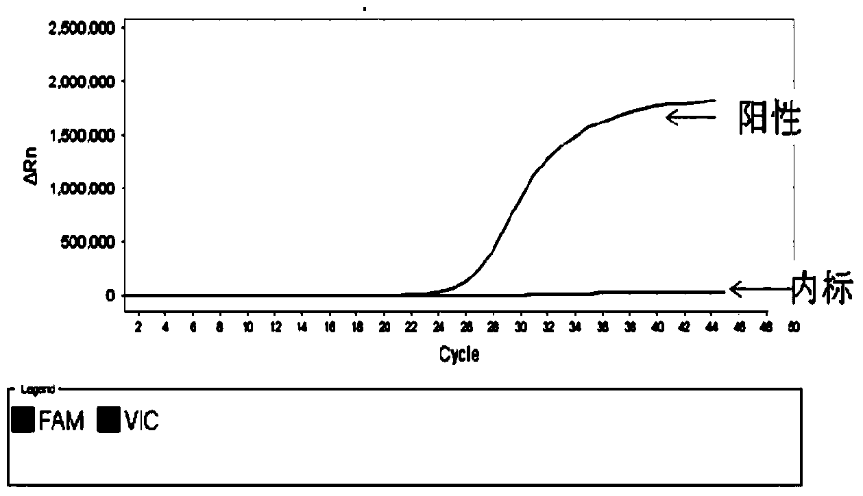 Fluorescent quantitative PCR (Polymerase Chain Reaction) detection reagent, kit and detection method for African swine fever virus (ASFV)